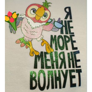 Пленка PET для DTF печати рулон 30см*100м holographic