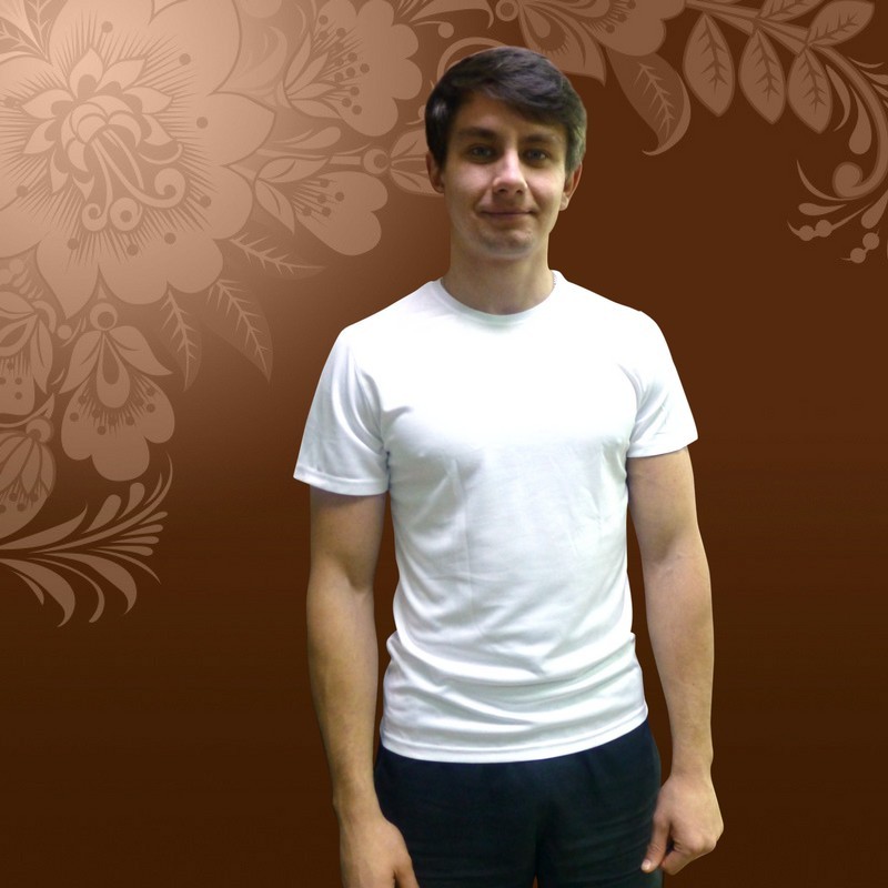 Футболка SALE мужская Эволюшн Премиум Плюс 66